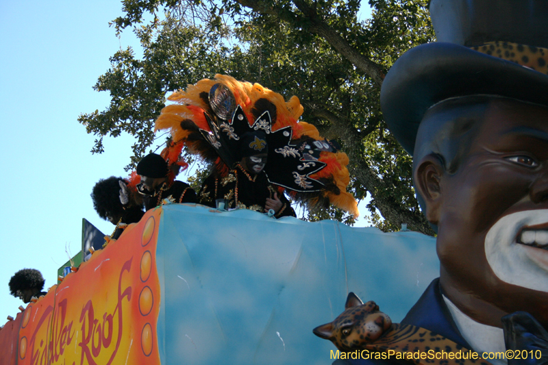 Zulu-Social-Aid-and-Pleasure-Club-2010-Mardi-Gras-New-Orleans-1198