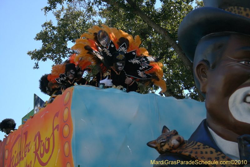 Zulu-Social-Aid-and-Pleasure-Club-2010-Mardi-Gras-New-Orleans-1199