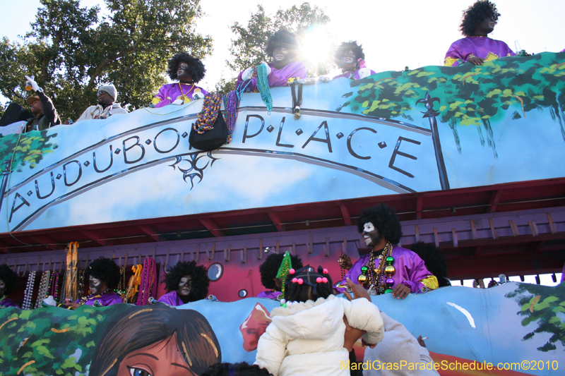 Zulu-Social-Aid-and-Pleasure-Club-2010-Mardi-Gras-New-Orleans-1231