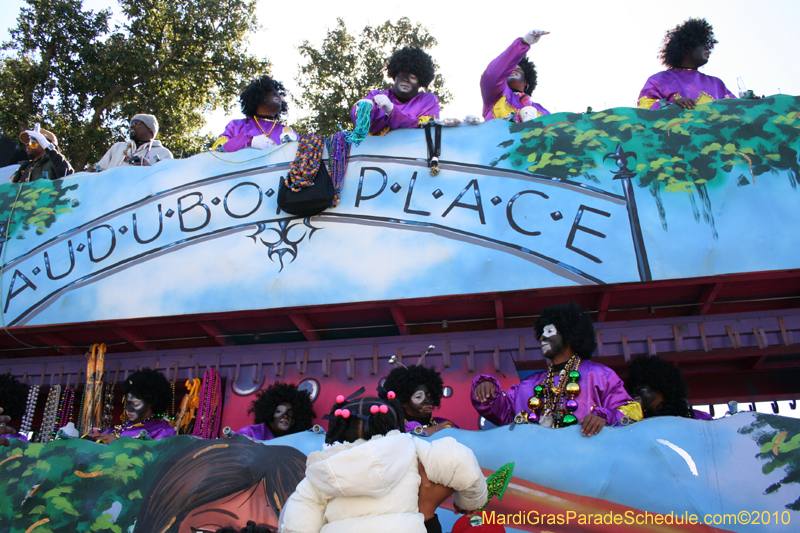 Zulu-Social-Aid-and-Pleasure-Club-2010-Mardi-Gras-New-Orleans-1232