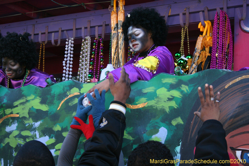 Zulu-Social-Aid-and-Pleasure-Club-2010-Mardi-Gras-New-Orleans-1236