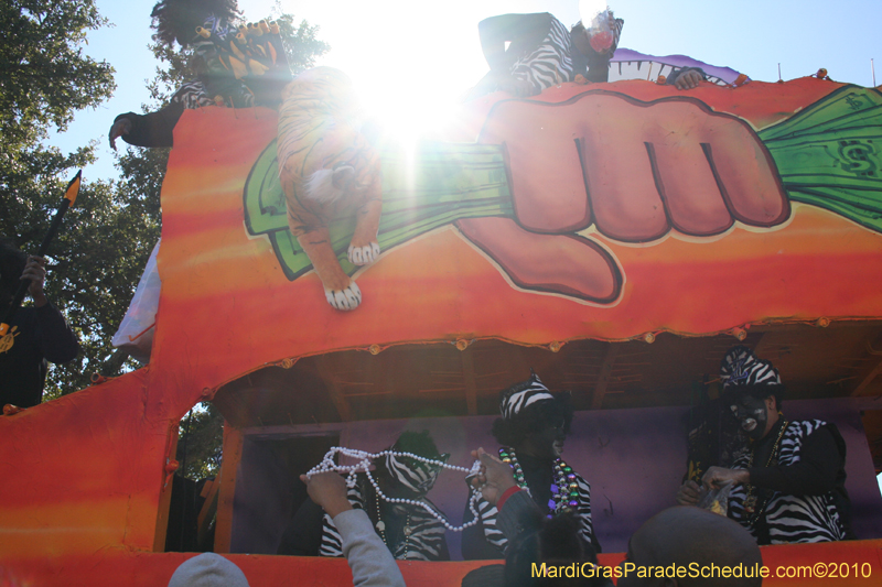 Zulu-Social-Aid-and-Pleasure-Club-2010-Mardi-Gras-New-Orleans-1265