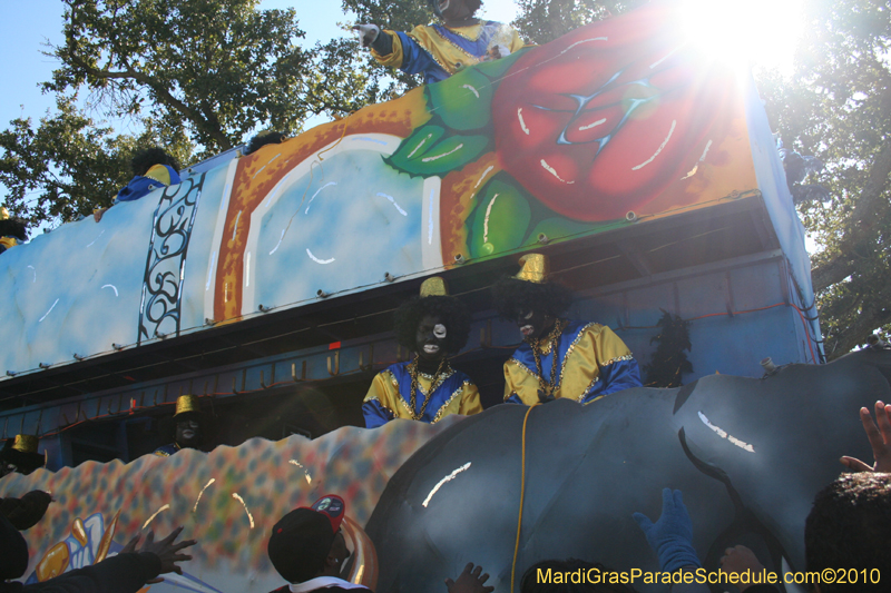 Zulu-Social-Aid-and-Pleasure-Club-2010-Mardi-Gras-New-Orleans-1287