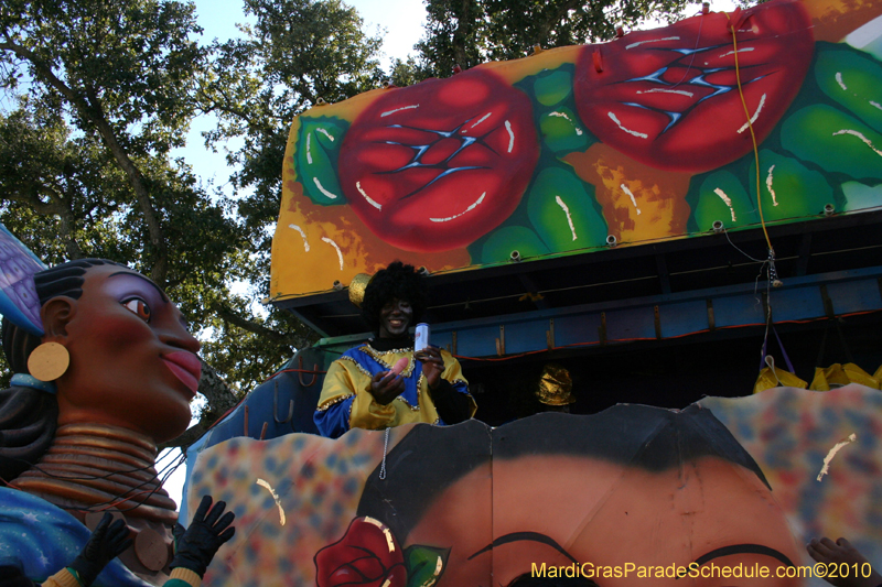 Zulu-Social-Aid-and-Pleasure-Club-2010-Mardi-Gras-New-Orleans-1293