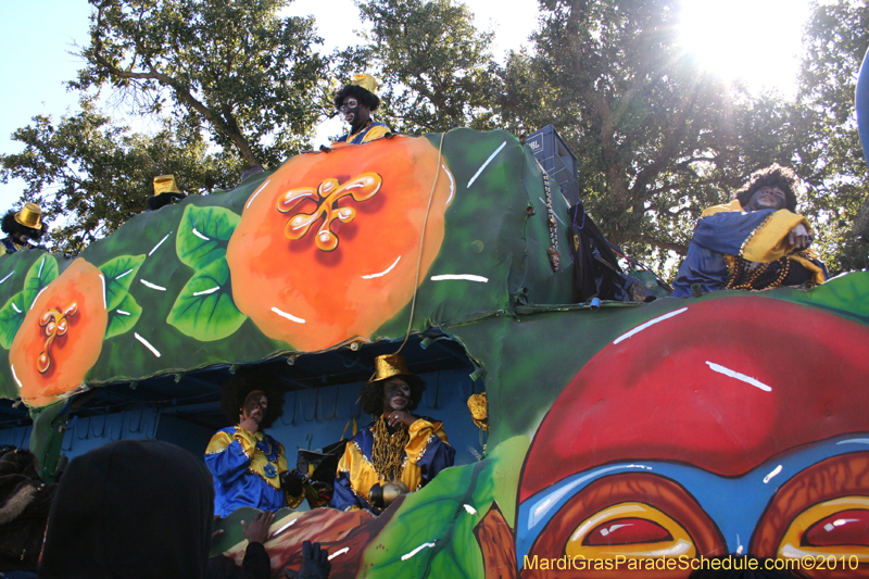 Zulu-Social-Aid-and-Pleasure-Club-2010-Mardi-Gras-New-Orleans-1295