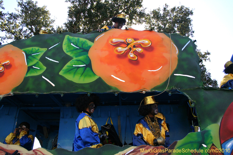 Zulu-Social-Aid-and-Pleasure-Club-2010-Mardi-Gras-New-Orleans-1296
