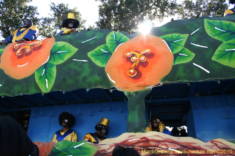 Zulu-Social-Aid-and-Pleasure-Club-2010-Mardi-Gras-New-Orleans-1297
