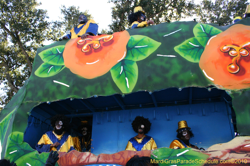 Zulu-Social-Aid-and-Pleasure-Club-2010-Mardi-Gras-New-Orleans-1298