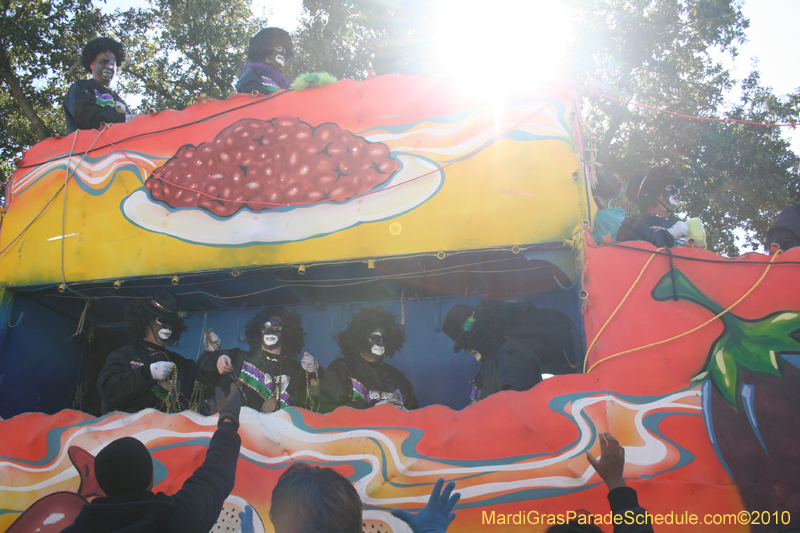 Zulu-Social-Aid-and-Pleasure-Club-2010-Mardi-Gras-New-Orleans-1310