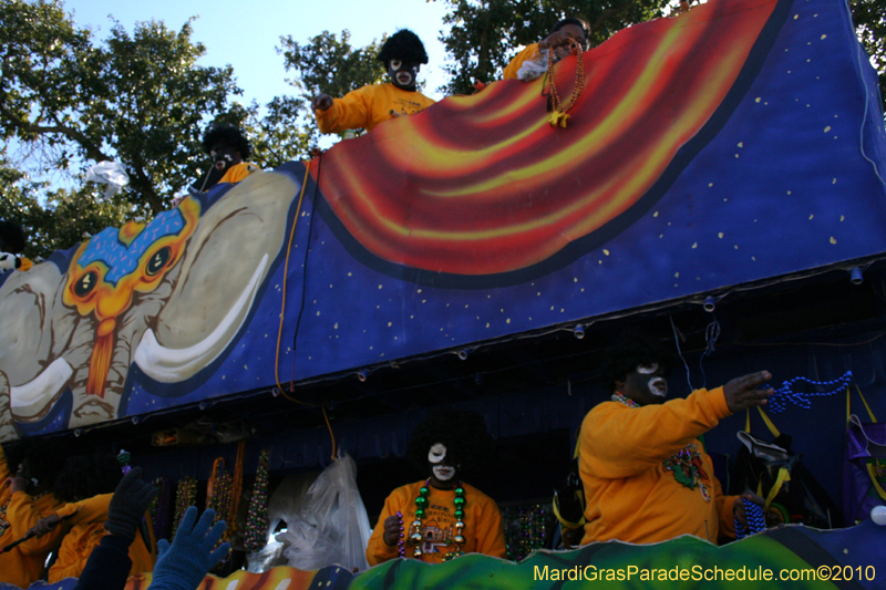 Zulu-Social-Aid-and-Pleasure-Club-2010-Mardi-Gras-New-Orleans-1320