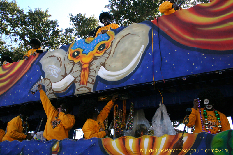 Zulu-Social-Aid-and-Pleasure-Club-2010-Mardi-Gras-New-Orleans-1321
