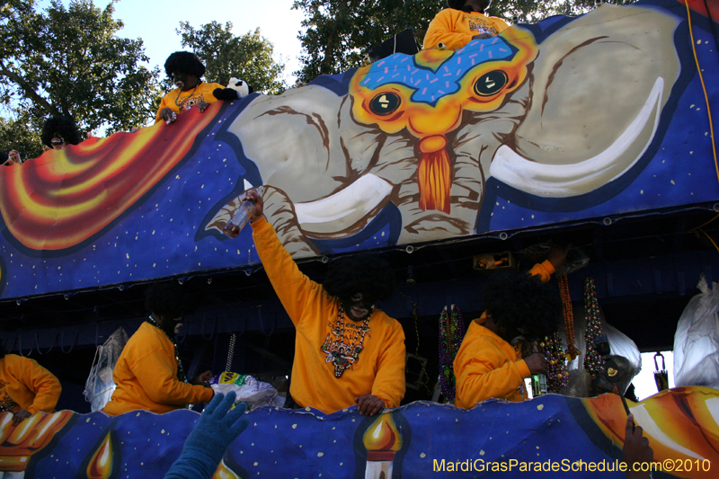 Zulu-Social-Aid-and-Pleasure-Club-2010-Mardi-Gras-New-Orleans-1322