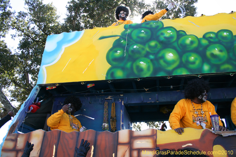 Zulu-Social-Aid-and-Pleasure-Club-2010-Mardi-Gras-New-Orleans-1329