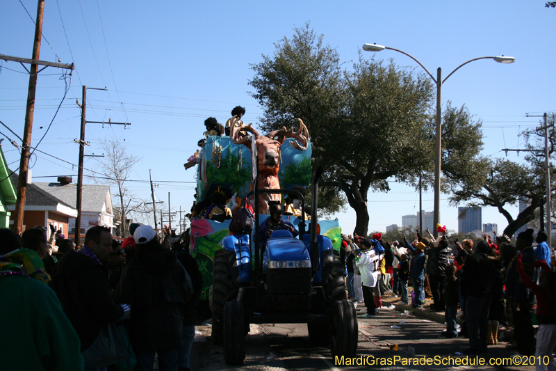 Zulu-Social-Aid-and-Pleasure-Club-2010-Mardi-Gras-New-Orleans-1341
