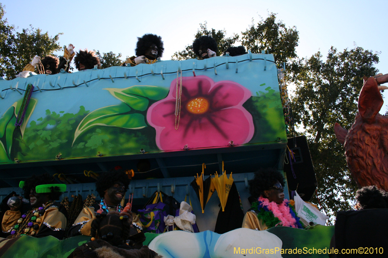 Zulu-Social-Aid-and-Pleasure-Club-2010-Mardi-Gras-New-Orleans-1344