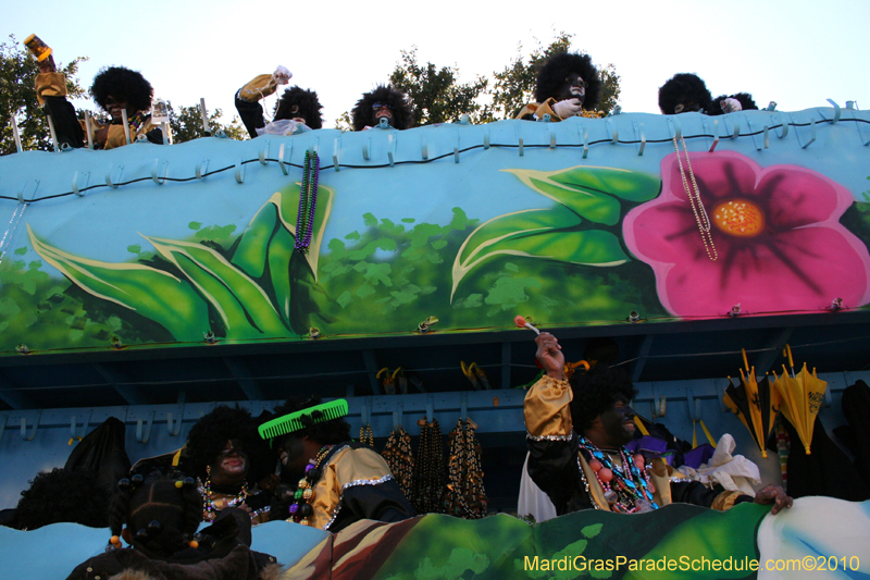 Zulu-Social-Aid-and-Pleasure-Club-2010-Mardi-Gras-New-Orleans-1345