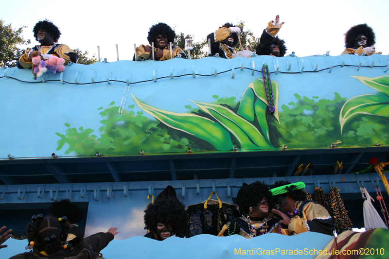 Zulu-Social-Aid-and-Pleasure-Club-2010-Mardi-Gras-New-Orleans-1346