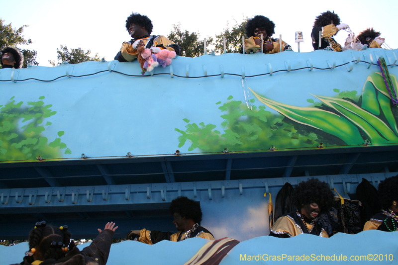 Zulu-Social-Aid-and-Pleasure-Club-2010-Mardi-Gras-New-Orleans-1347