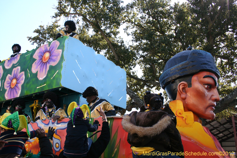 Zulu-Social-Aid-and-Pleasure-Club-2010-Mardi-Gras-New-Orleans-1351