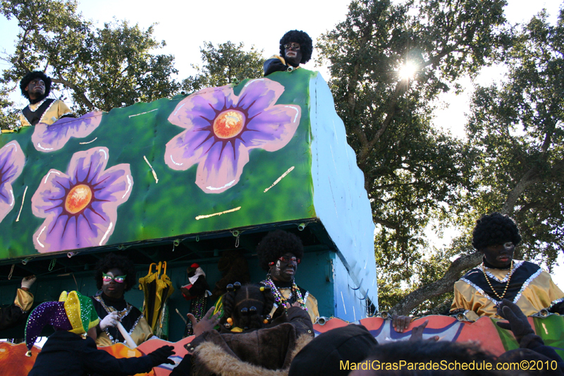 Zulu-Social-Aid-and-Pleasure-Club-2010-Mardi-Gras-New-Orleans-1352