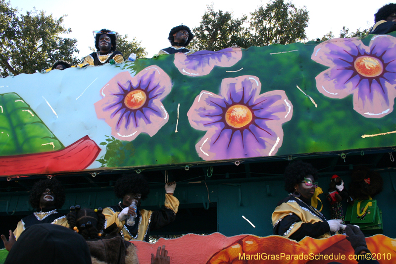 Zulu-Social-Aid-and-Pleasure-Club-2010-Mardi-Gras-New-Orleans-1354