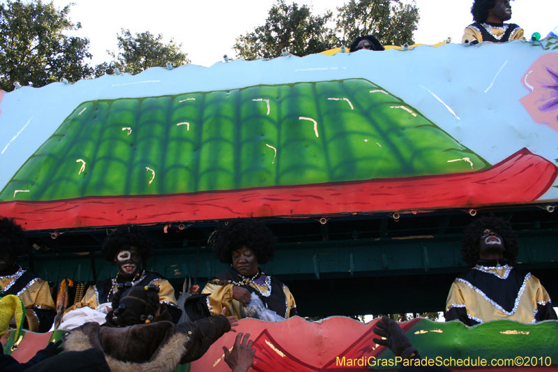 Zulu-Social-Aid-and-Pleasure-Club-2010-Mardi-Gras-New-Orleans-1356