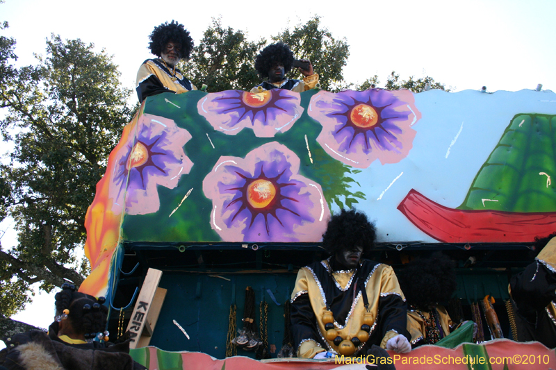 Zulu-Social-Aid-and-Pleasure-Club-2010-Mardi-Gras-New-Orleans-1359
