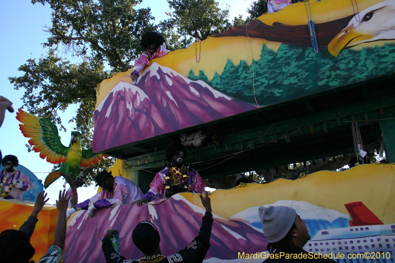 Zulu-Social-Aid-and-Pleasure-Club-2010-Mardi-Gras-New-Orleans-1490