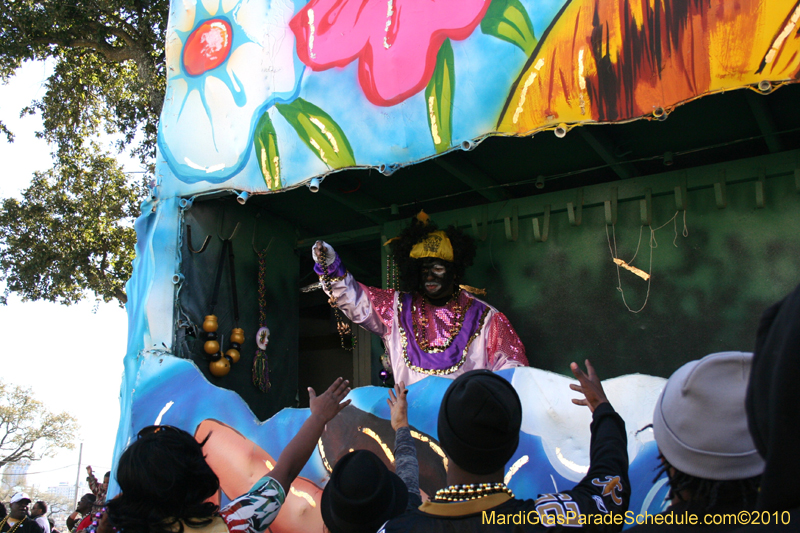 Zulu-Social-Aid-and-Pleasure-Club-2010-Mardi-Gras-New-Orleans-1494