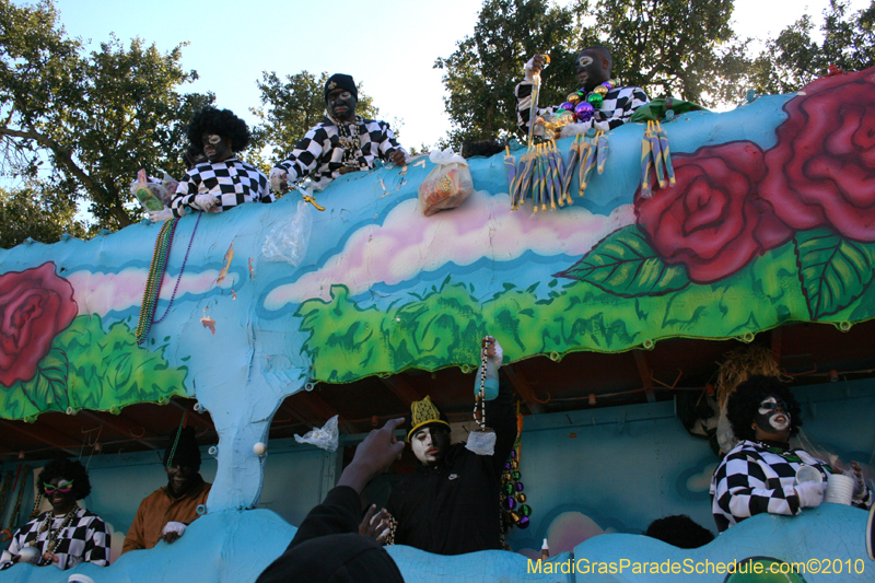 Zulu-Social-Aid-and-Pleasure-Club-2010-Mardi-Gras-New-Orleans-1500