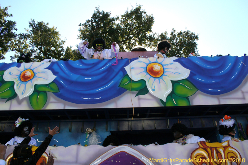 Zulu-Social-Aid-and-Pleasure-Club-2010-Mardi-Gras-New-Orleans-1533