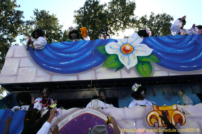 Zulu-Social-Aid-and-Pleasure-Club-2010-Mardi-Gras-New-Orleans-1535