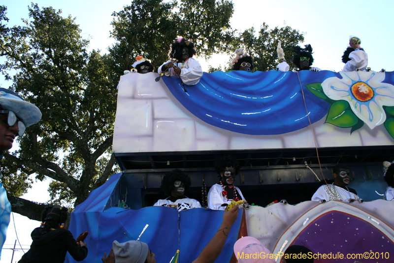 Zulu-Social-Aid-and-Pleasure-Club-2010-Mardi-Gras-New-Orleans-1537