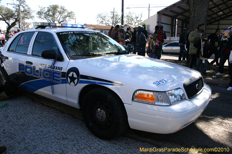 Zulu-Social-Aid-and-Pleasure-Club-2010-Mardi-Gras-New-Orleans-1544