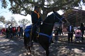 Zulu-Social-Aid-and-Pleasure-Club-2010-Mardi-Gras-New-Orleans-1043