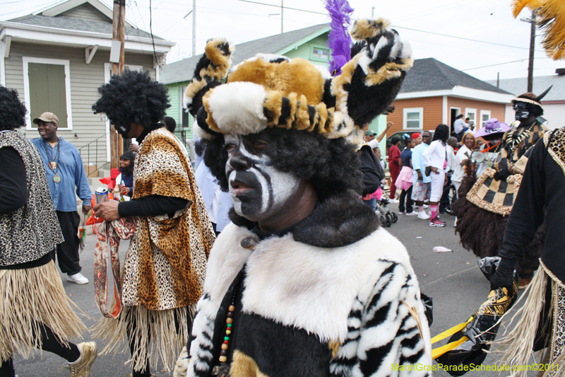 Zulu-SAPC-2011-0081