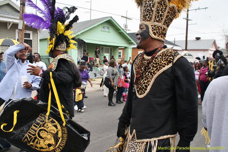 Zulu-SAPC-2011-0082