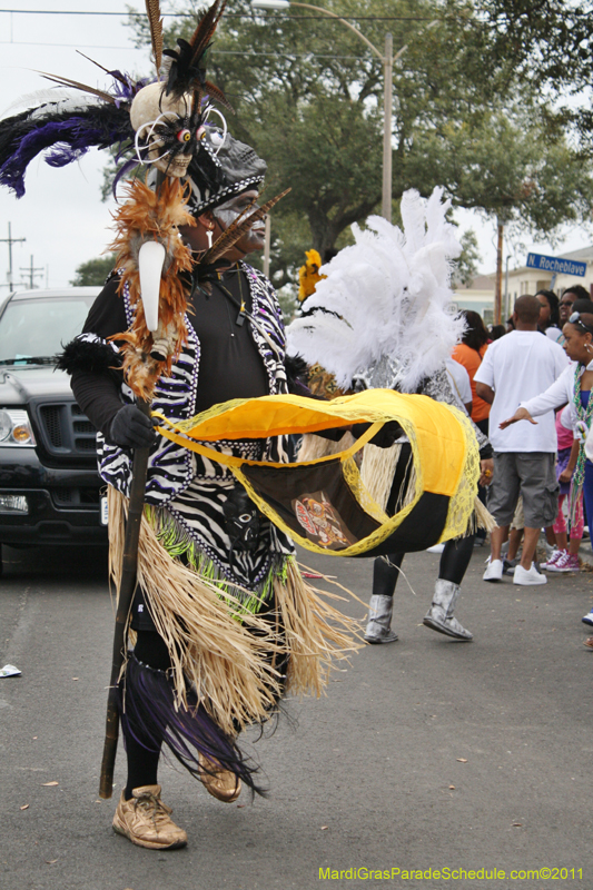 Zulu-SAPC-2011-0086