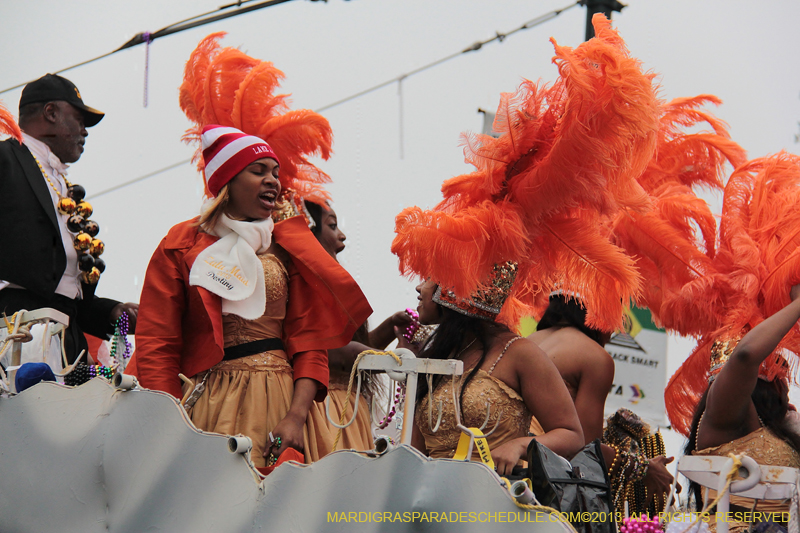 Krewe-of-Zulu-SAPC-2013-1110