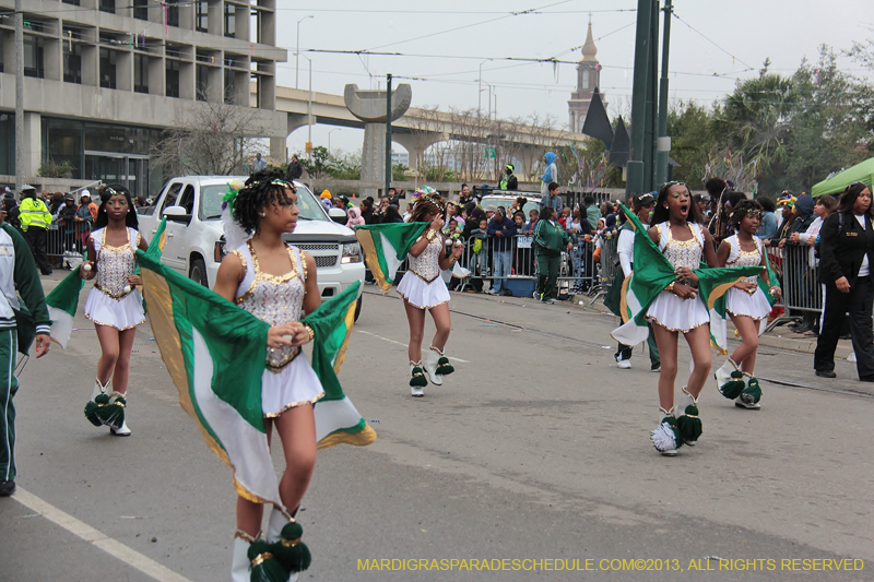 Krewe-of-Zulu-SAPC-2013-1210