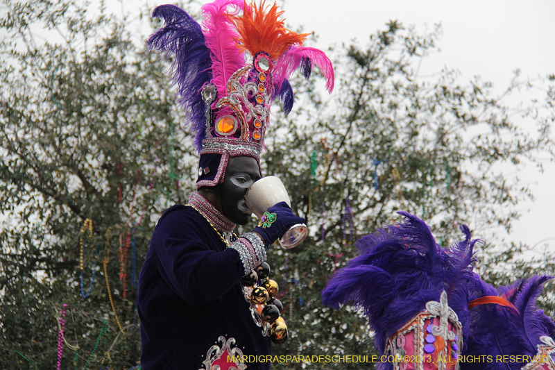Krewe-of-Zulu-SAPC-2013-1264