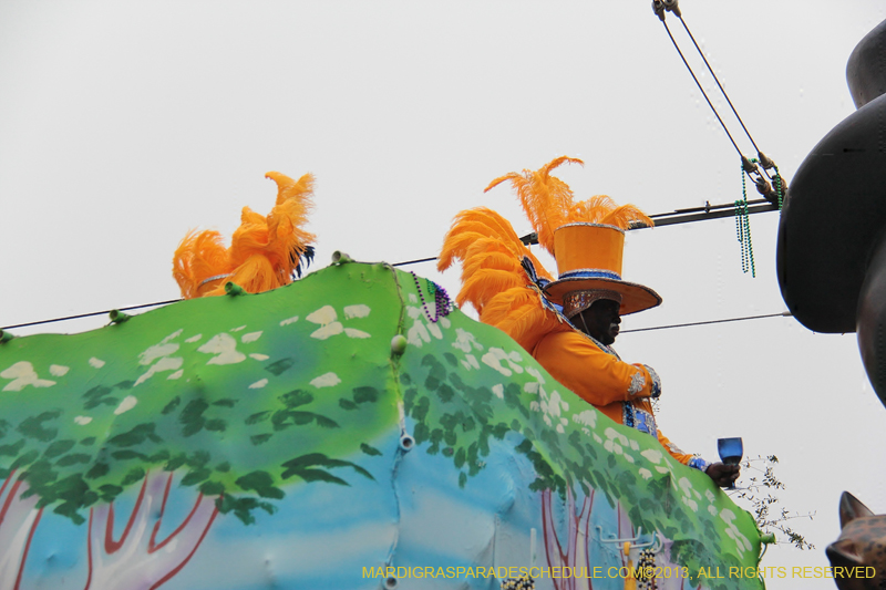 Krewe-of-Zulu-SAPC-2013-1345