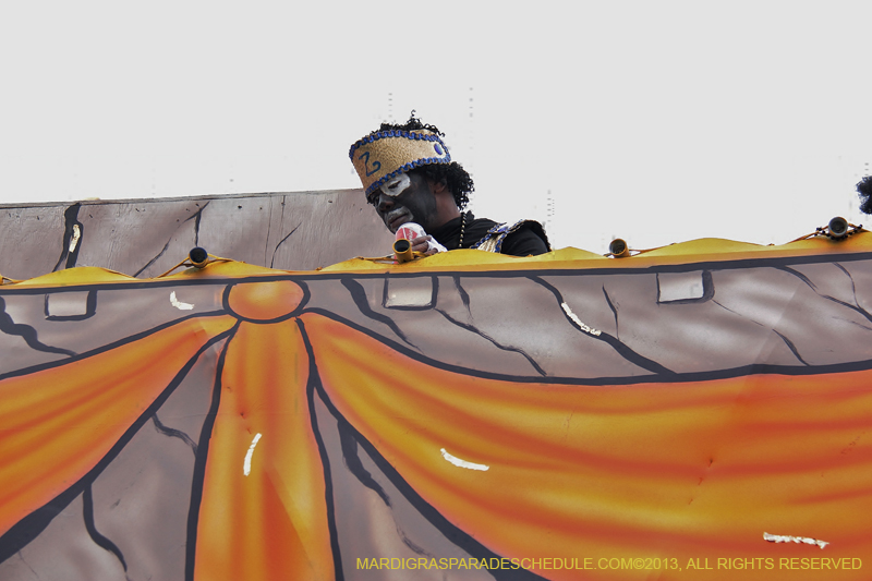 Krewe-of-Zulu-SAPC-2013-1383