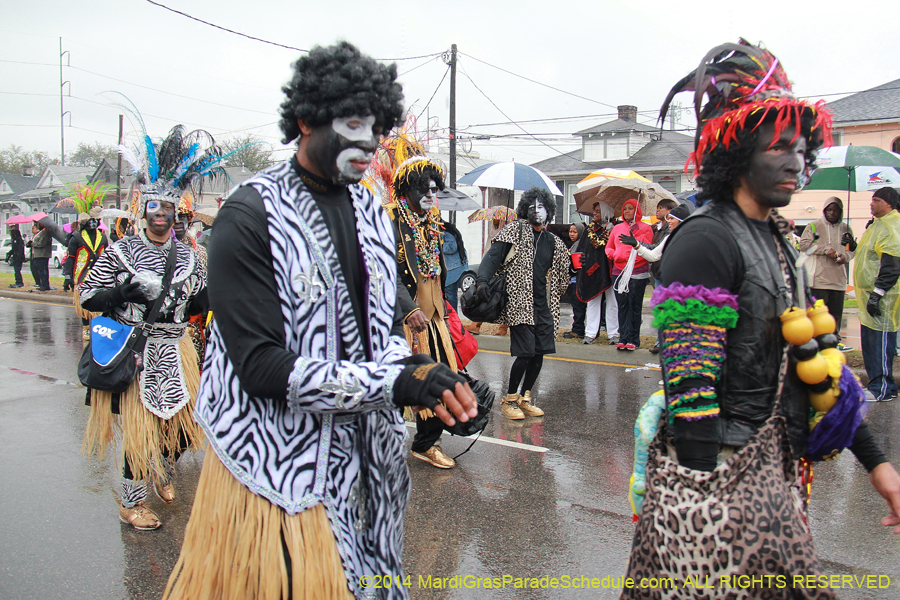 2014-Krewe-of-Zulu-SAPC-11016