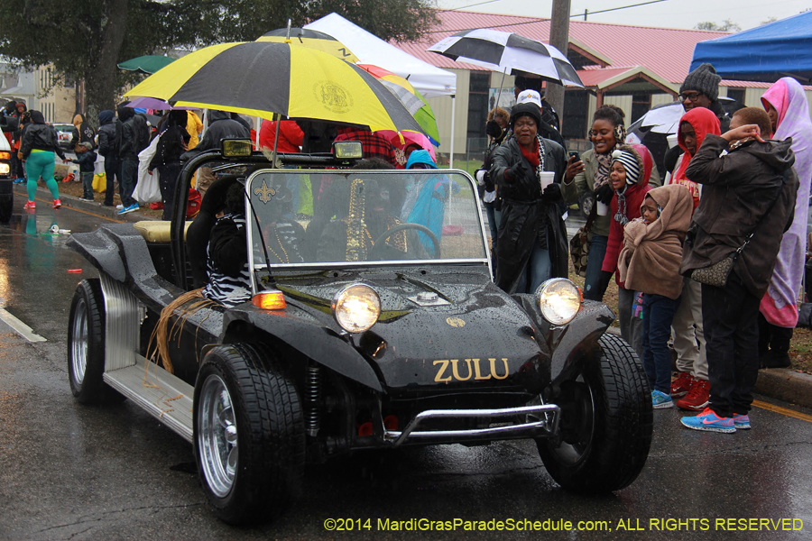 2014-Krewe-of-Zulu-SAPC-11048