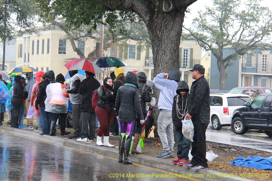 2014-Krewe-of-Zulu-SAPC-11051