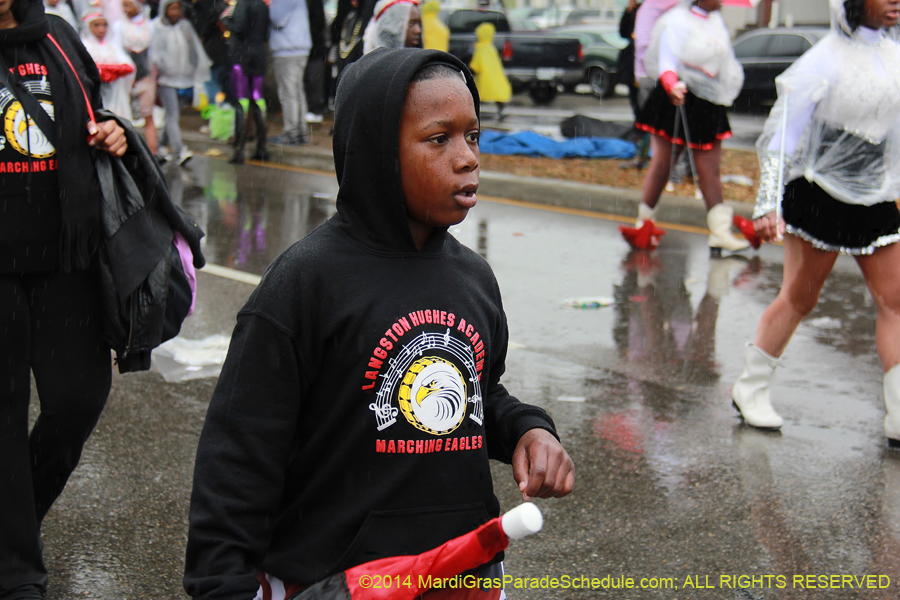 2014-Krewe-of-Zulu-SAPC-11054
