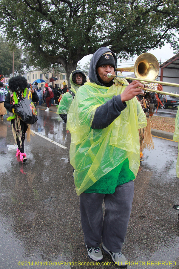 2014-Krewe-of-Zulu-SAPC-11069