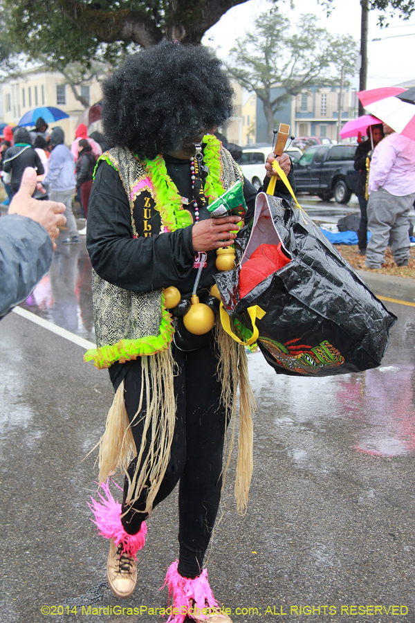 2014-Krewe-of-Zulu-SAPC-11070