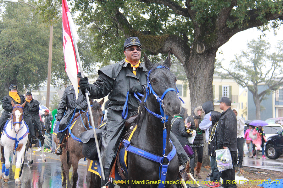 2014-Krewe-of-Zulu-SAPC-11076